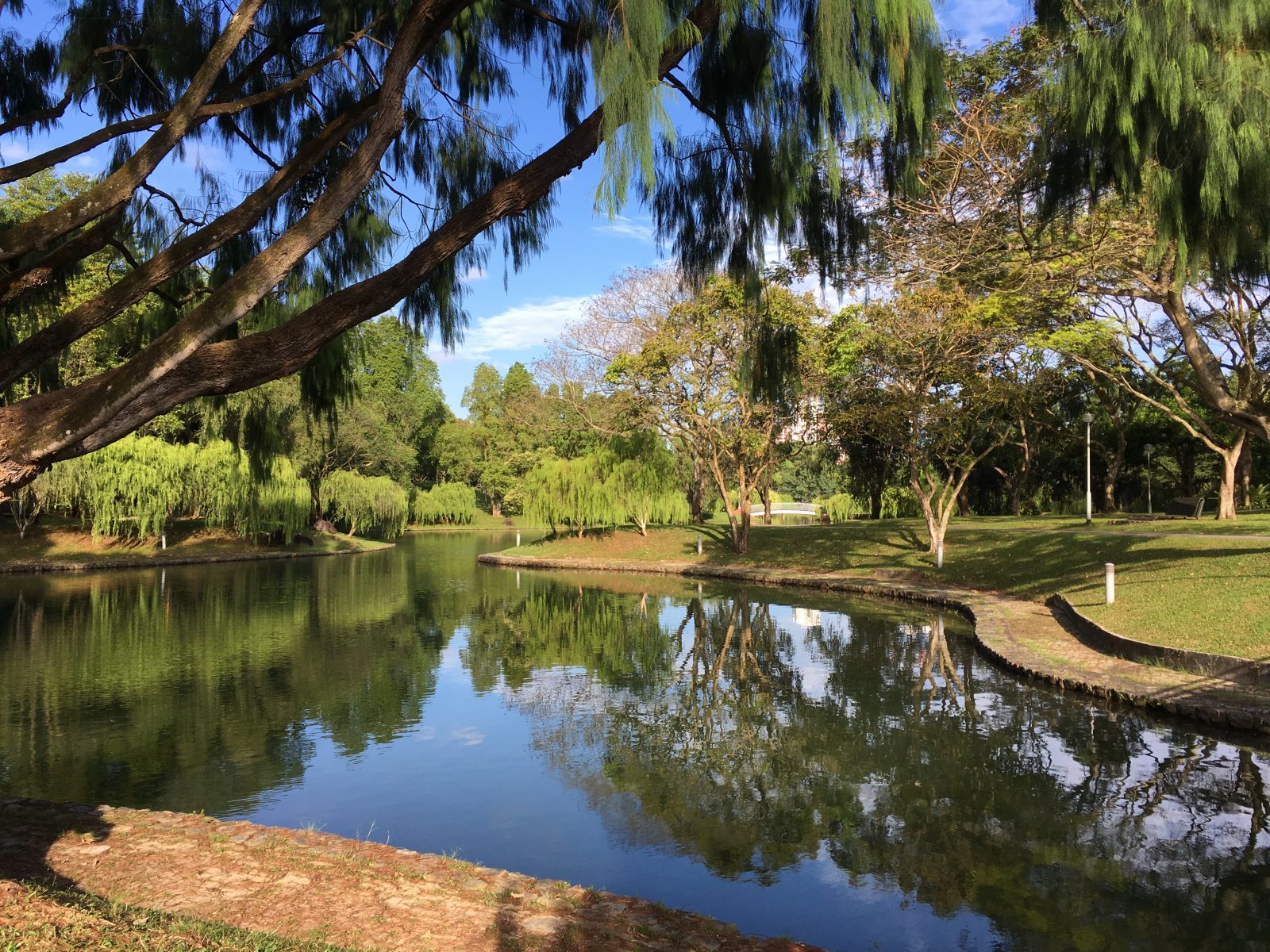 Little Day Outing to Bishan-AMK Park: Amazing Race with Zhou's Academic ...